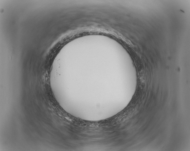 X0000062831495200602031524