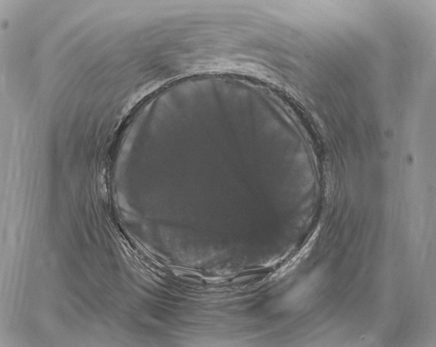 X0000062831497200602031524