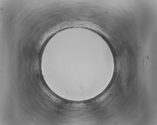 X0000062831498200602031524