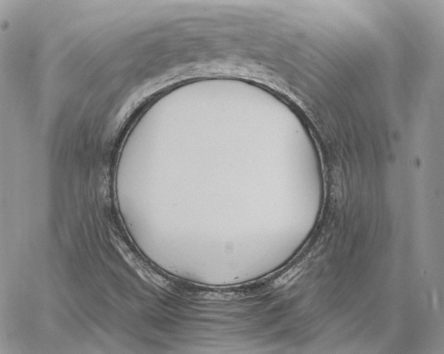 X0000062831499200602031524