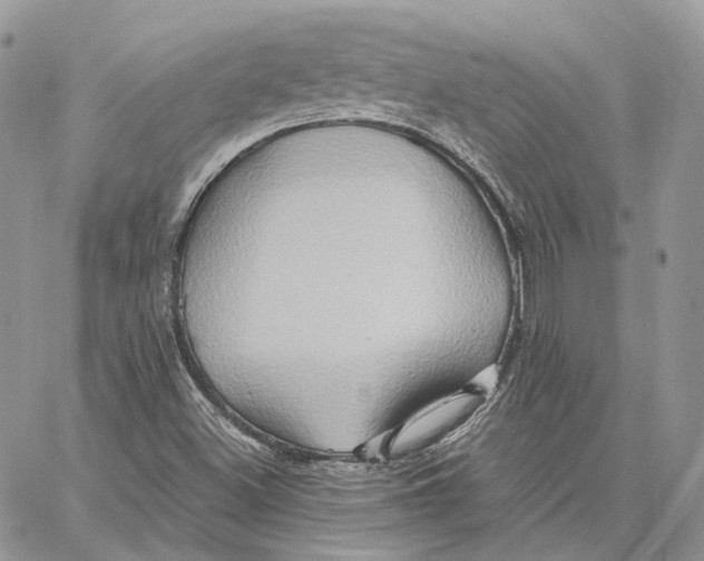 X0000062831500200602031524