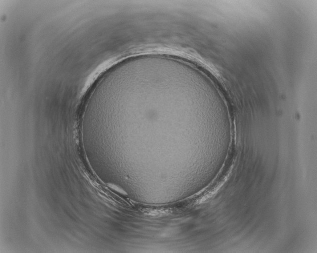 X0000062831501200602031524