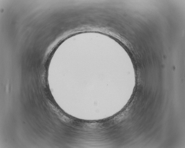 X0000062831502200602031524