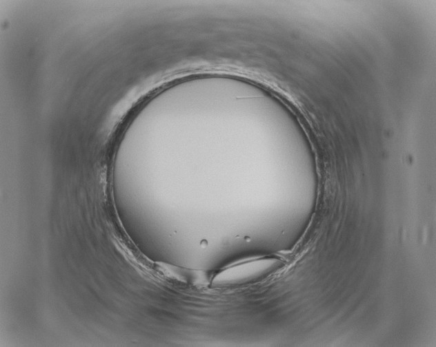 X0000062831503200602031524