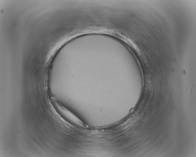 X0000062831504200602031524