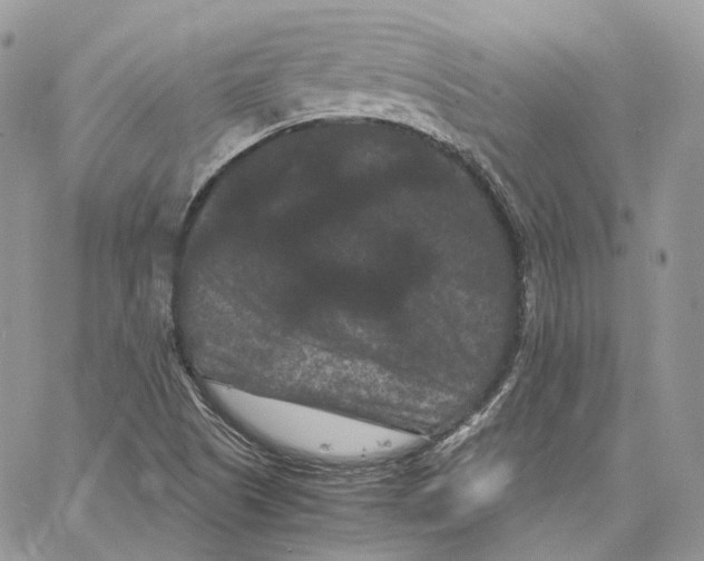 X0000062831505200602031524