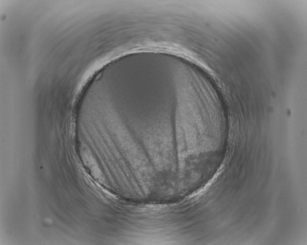 X0000062831506200602031524