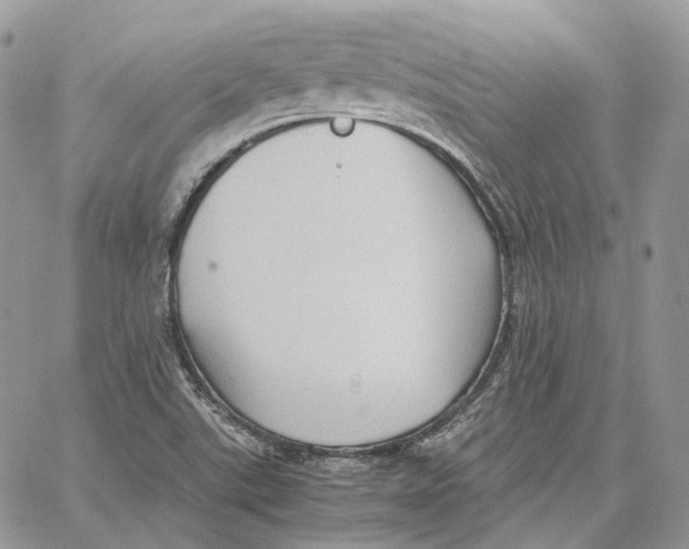 X0000062831507200602031524