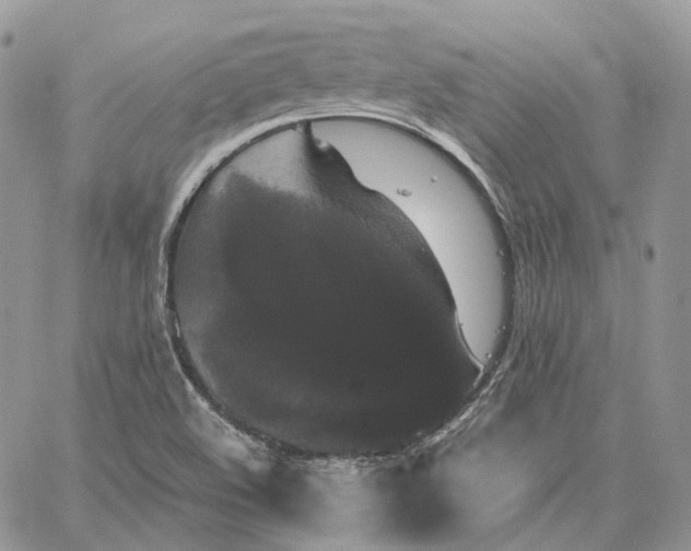 X0000062831508200602031524