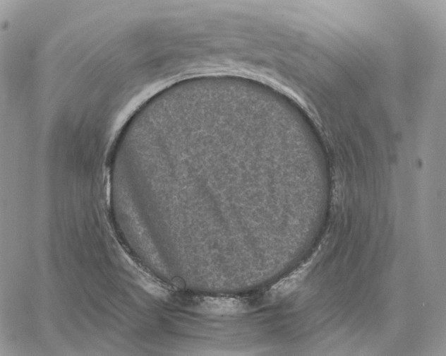 X0000062831509200602031524