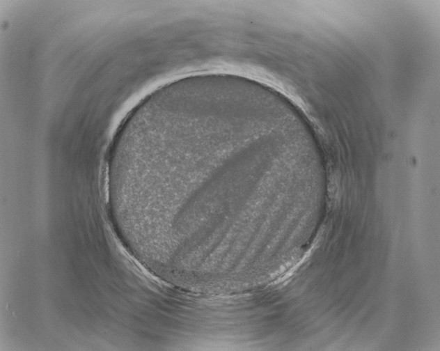 X0000062831510200602031524