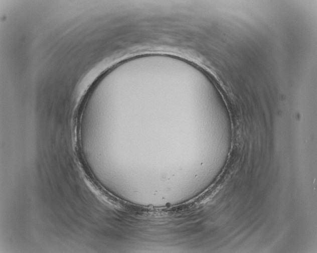 X0000062831511200602031524