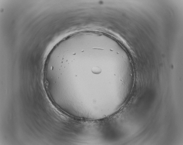 X0000062831512200602031524