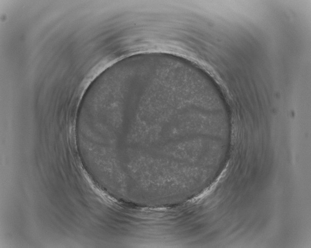 X0000062831513200602031524