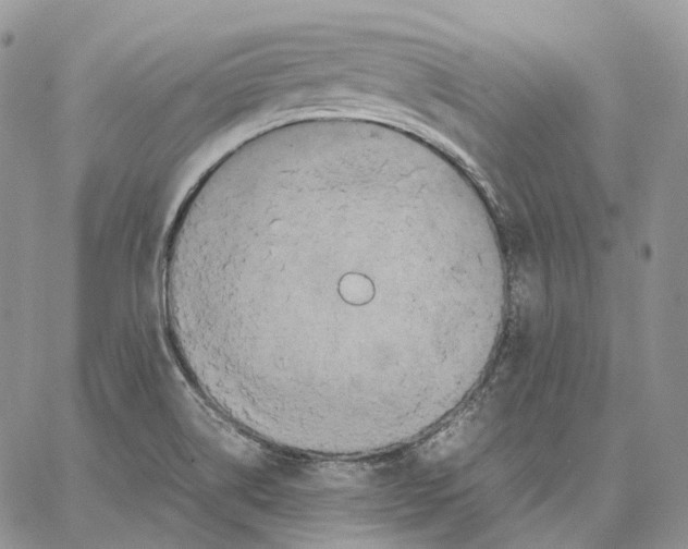 X0000062831514200602031524