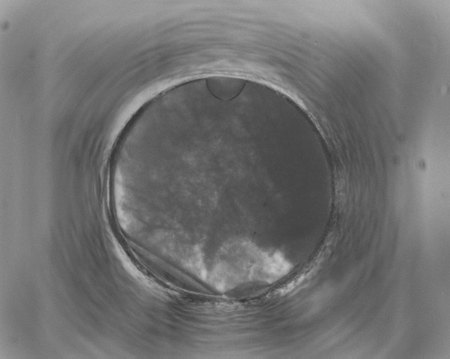 X0000062831515200602031524