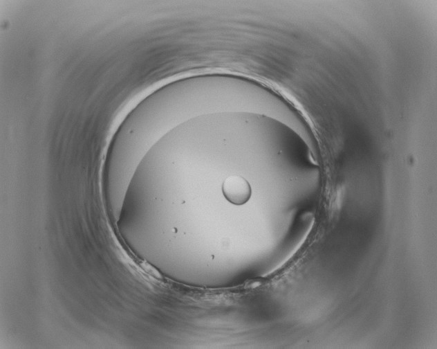 X0000062831516200602031524