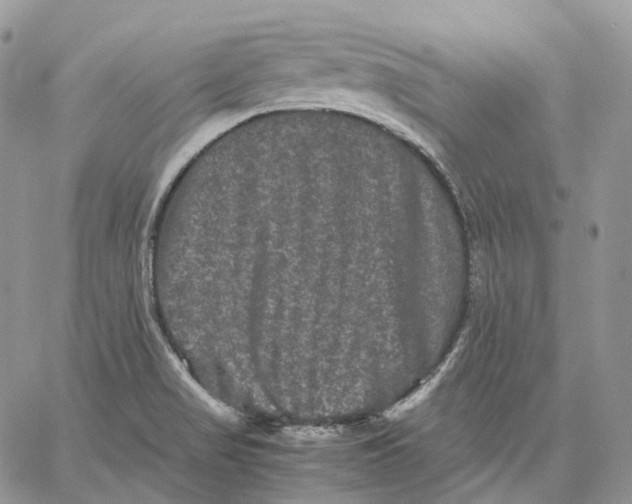 X0000062831517200602031524