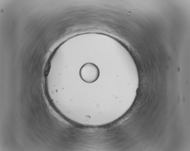 X0000062831518200602031524