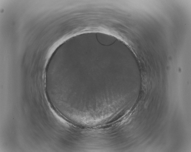 X0000062831519200602031524