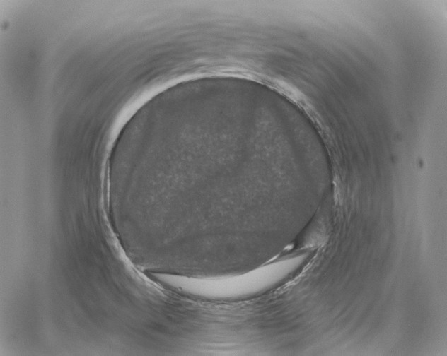 X0000062831520200602031524