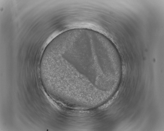 X0000062831521200602031524