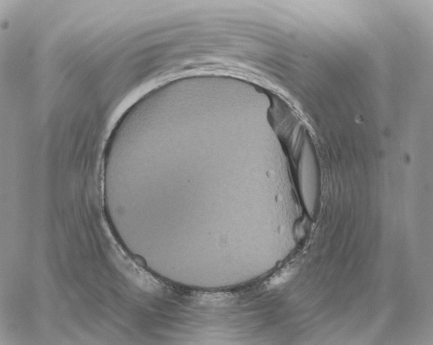 X0000062831522200602031524