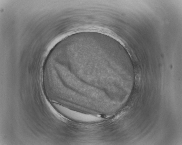 X0000062831523200602031524