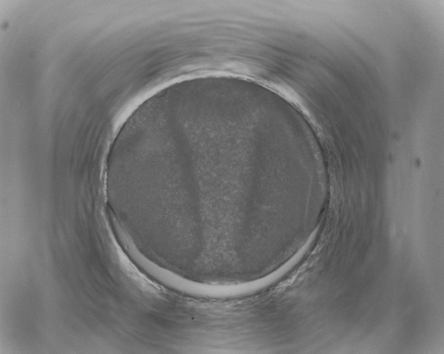 X0000062831524200602031524