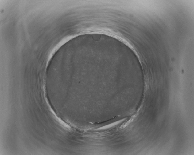 X0000062831525200602031524