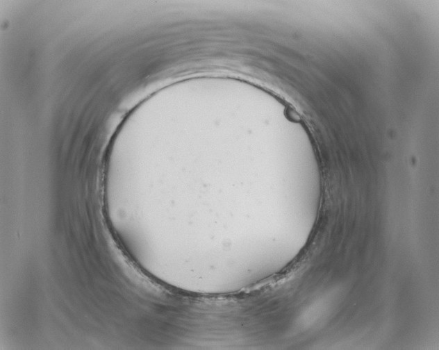 X0000062831526200602031524