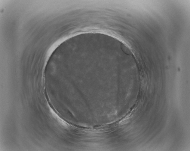 X0000062831527200602031524