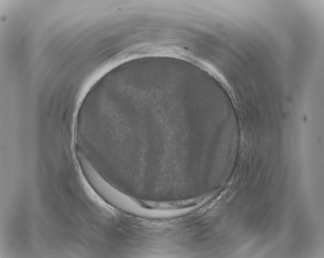 X0000062831528200602031524