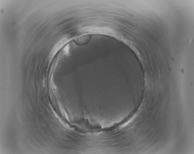 X0000062831529200602031524