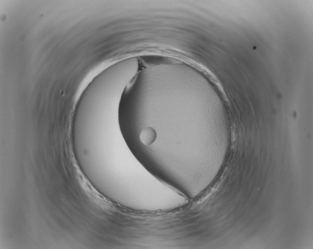 X0000062831530200602031524