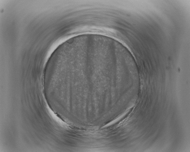 X0000062831531200602031524