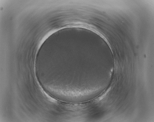 X0000062831533200602031524