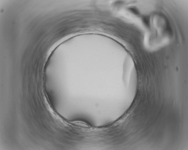 X0000062831534200602031524