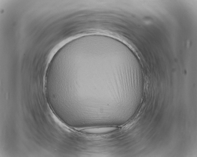 X0000062831535200602031524