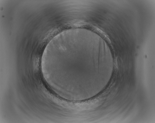 X0000062830018200602101523