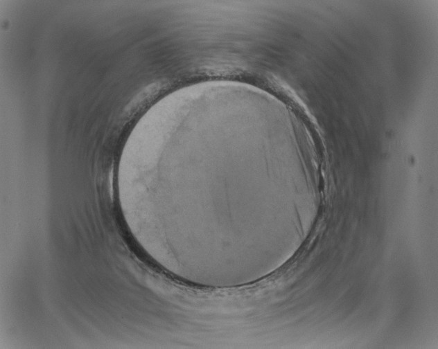 X0000062830019200602101523