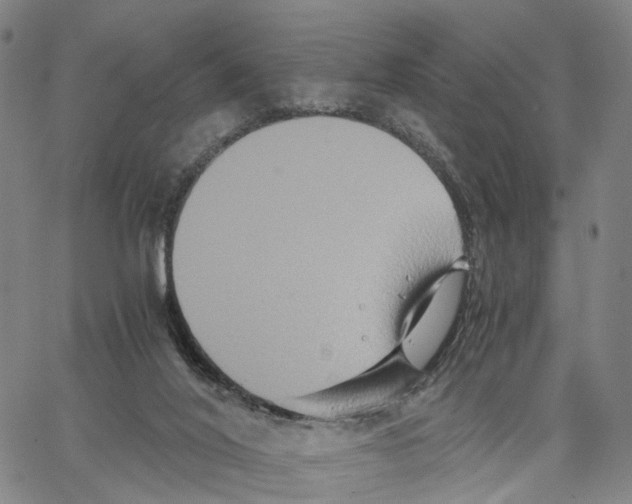 X0000062830020200602101523