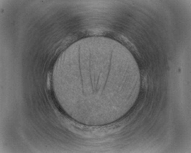X0000062830026200602101523