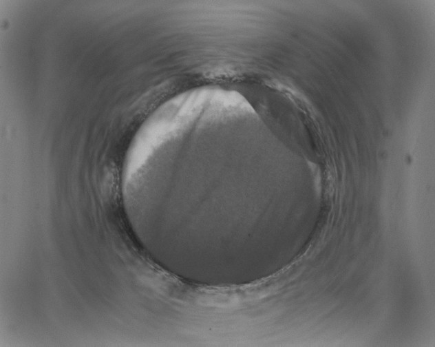 X0000062830029200602101523
