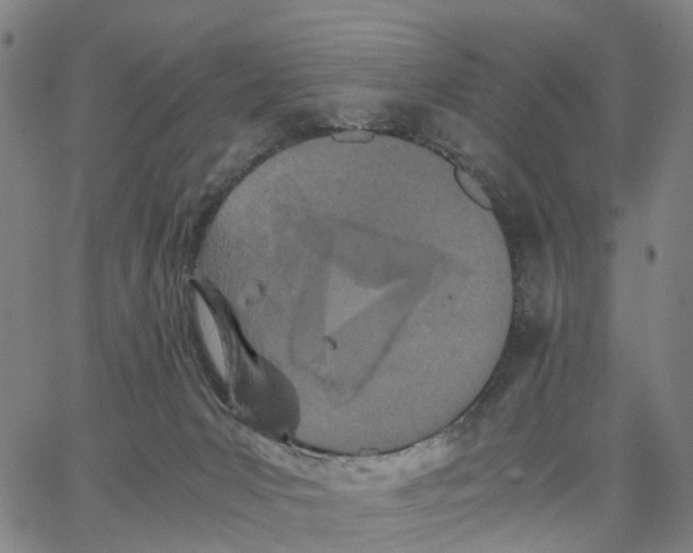 X0000062830031200602101523