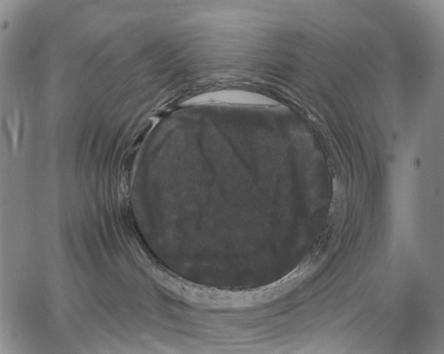 X0000062830048200602101522