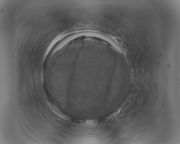 X0000062830056200602101522