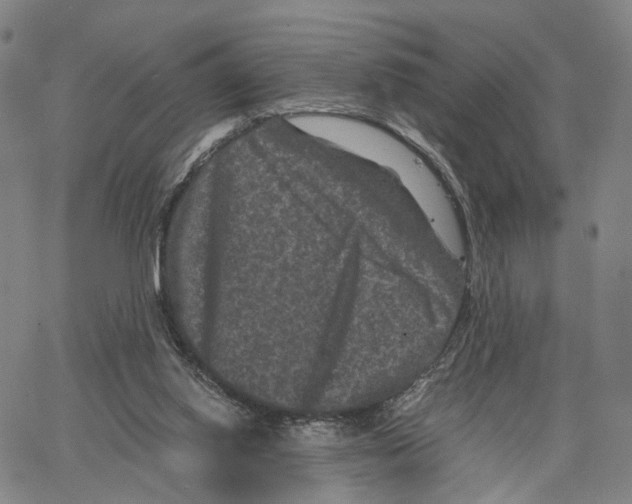 X0000062830062200602101522