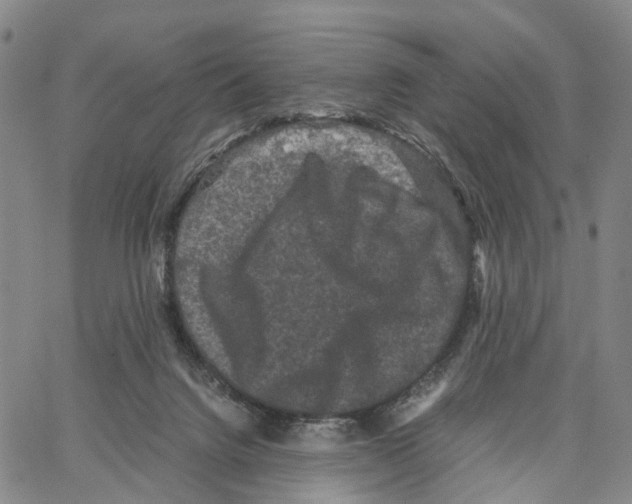 X0000062830072200602101522