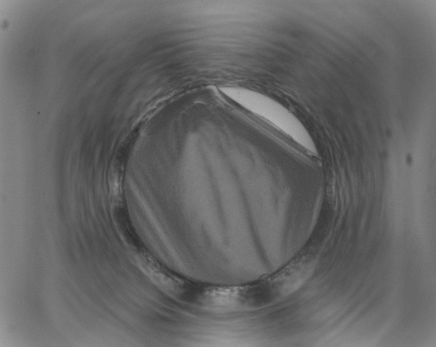 X0000062830084200602101522
